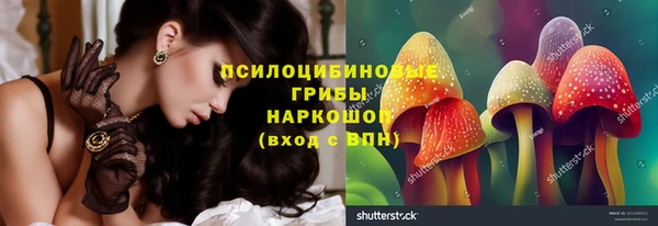 МДПВ Абаза