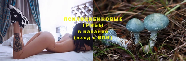 дживик Алексин