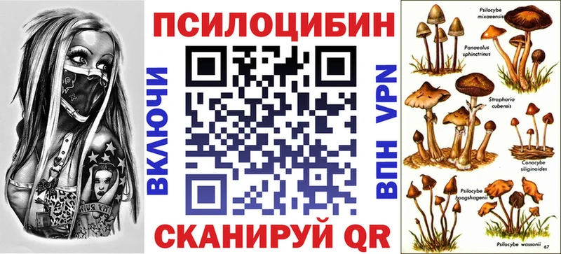 Псилоцибиновые грибы GOLDEN TEACHER  mega рабочий сайт  Тырныауз 
